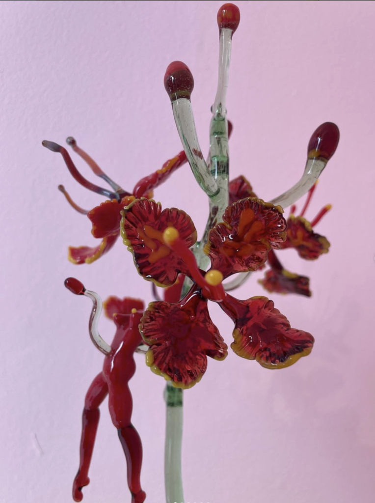 Weekend Course: Imagining Botanical Forms
